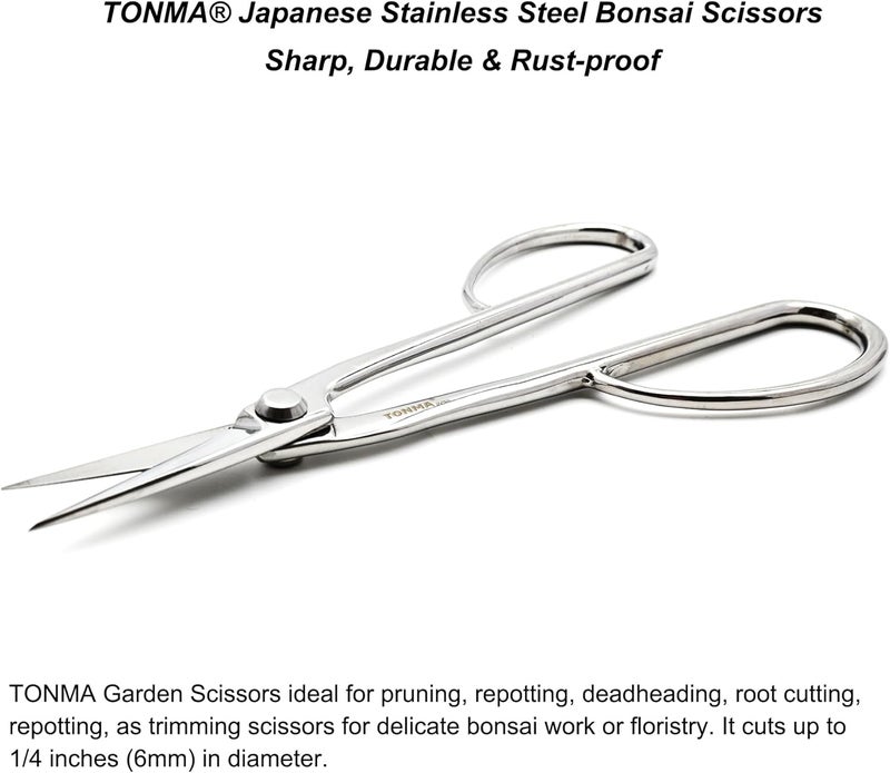 TONMA JP TONMA Satsuki Bonsai Scissors [Made in Japan] Professional 8.5 inch Garden Bonsai Tools Japanese Stainless Steel Hasami Pruning Scissors with Micro Serrated, Mirror Finish Process - Image 4